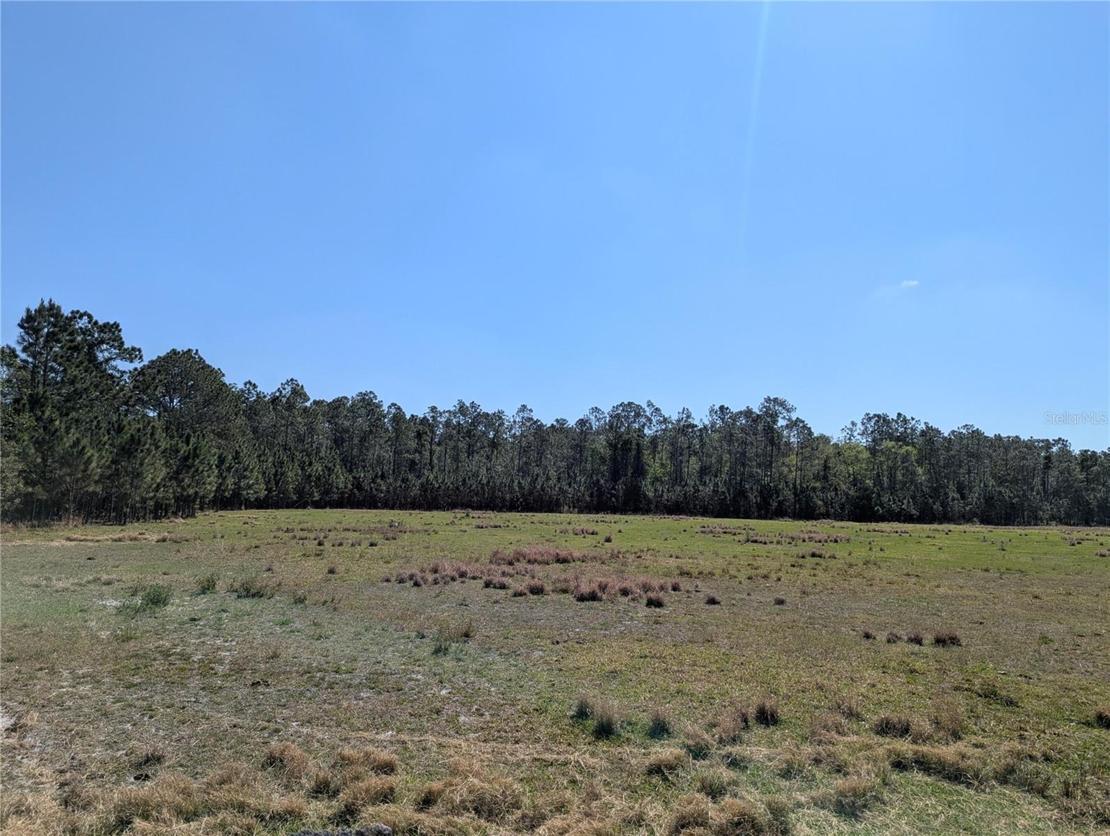 DEEN STILL RD E, POLK CITY, FL, 33868