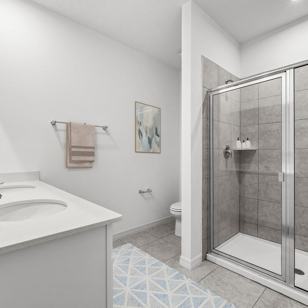 4686 INNER WORLD LN, WESLEY CHAPEL, FL, 33543