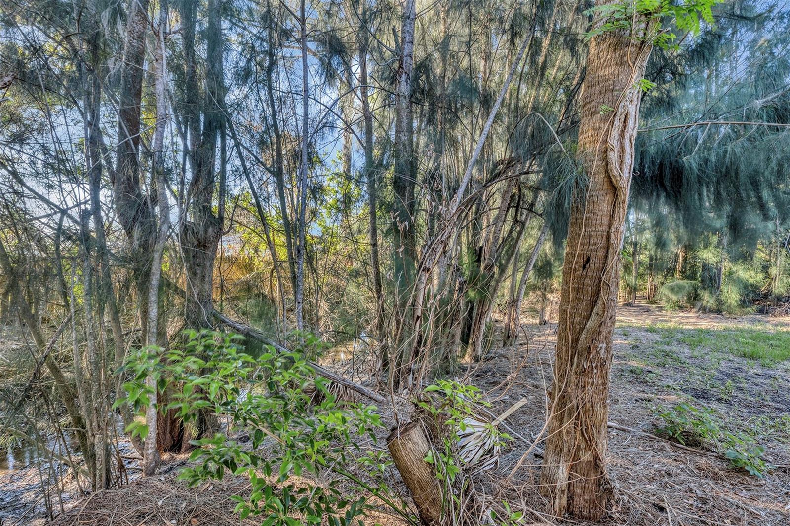 1400 CONRAD DR, NEW SMYRNA BEACH, FL, 32168