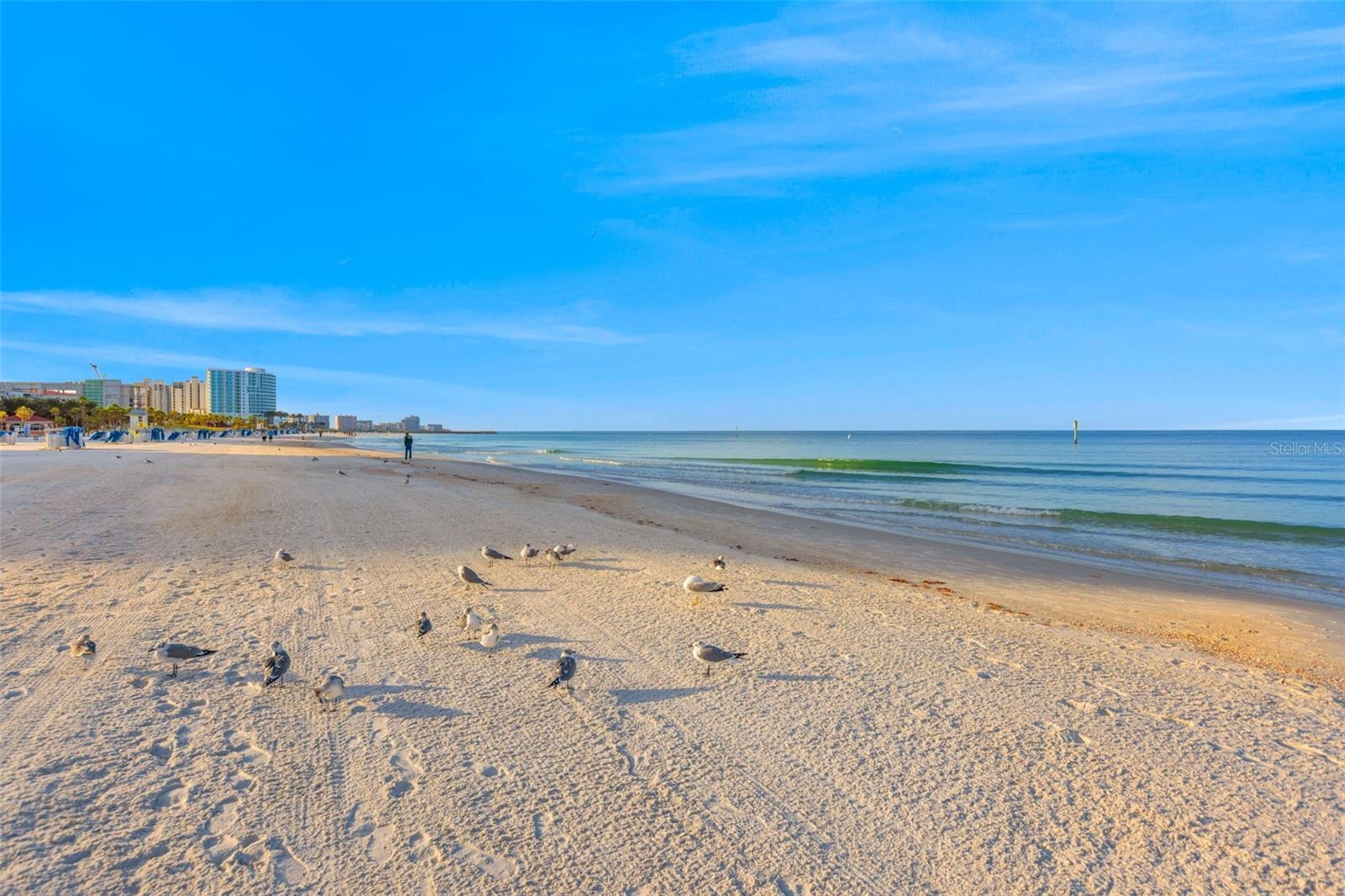 11 SAN MARCO ST #401, CLEARWATER BEACH, FL, 33767