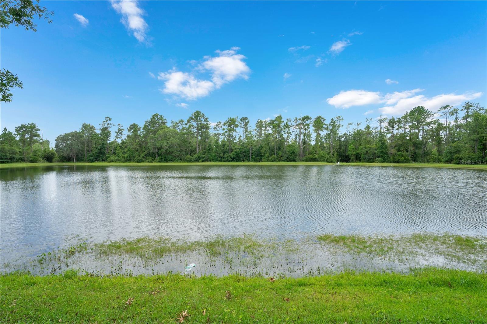 1845 CORNER MEADOW CIR, ORLANDO, FL, 32820