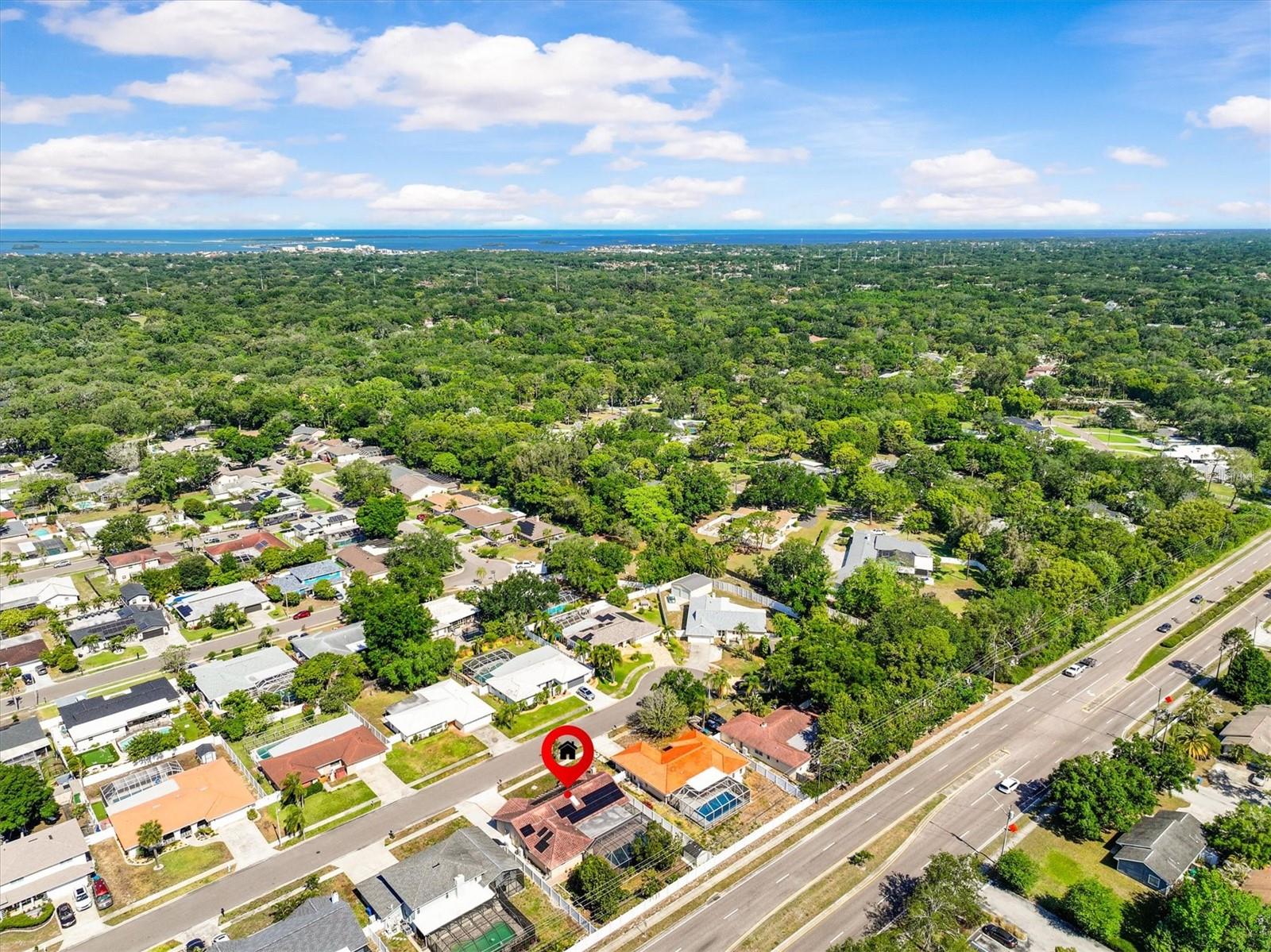 3149 CARLOS DR, DUNEDIN, FL, 34698
