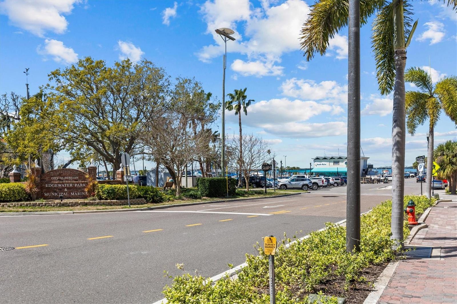 3149 CARLOS DR, DUNEDIN, FL, 34698