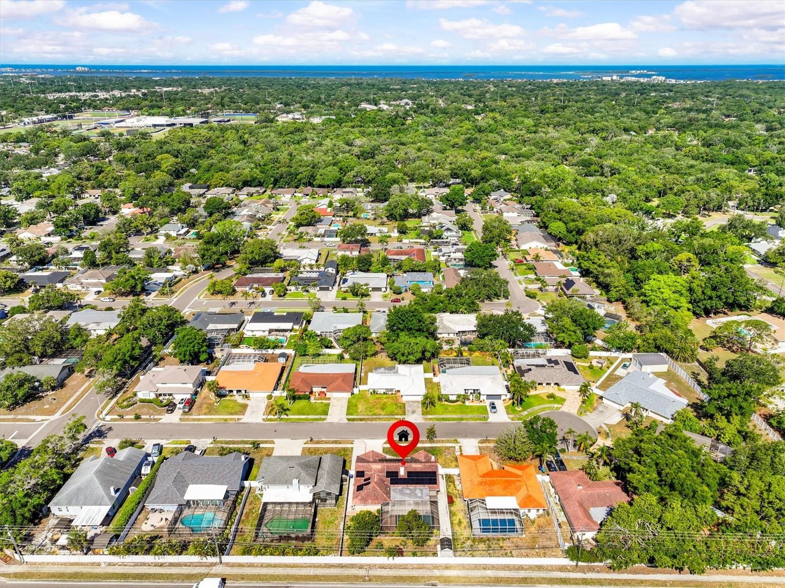 3149 CARLOS DR, DUNEDIN, FL, 34698