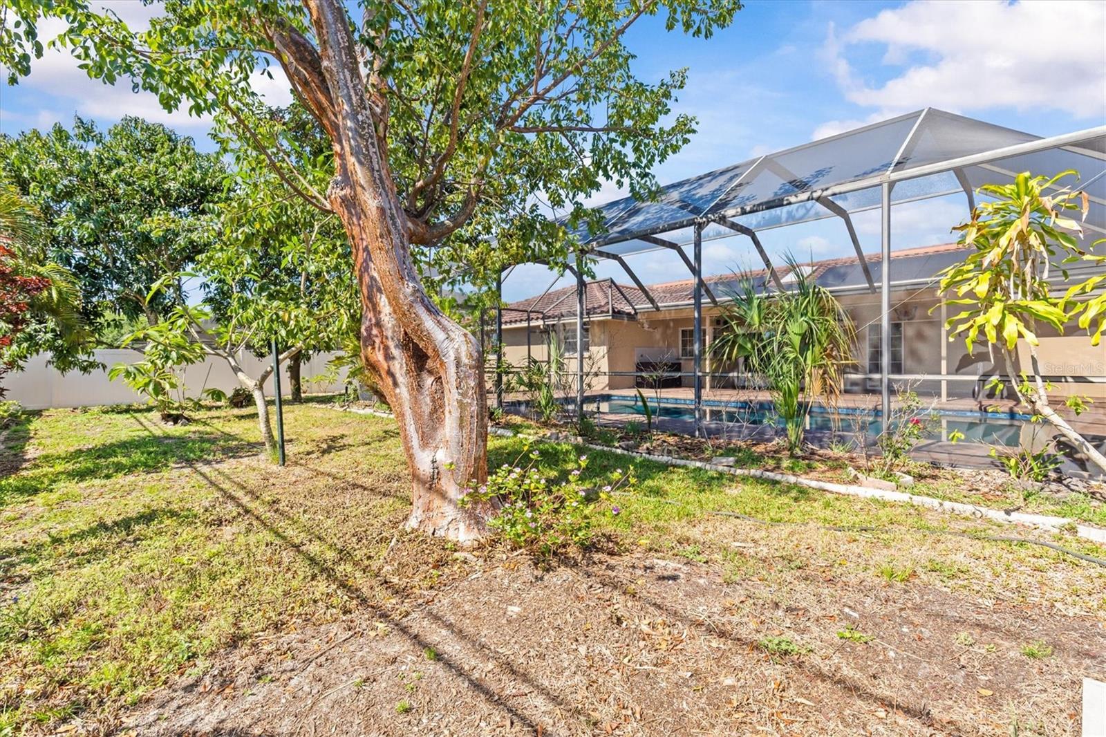 3149 CARLOS DR, DUNEDIN, FL, 34698
