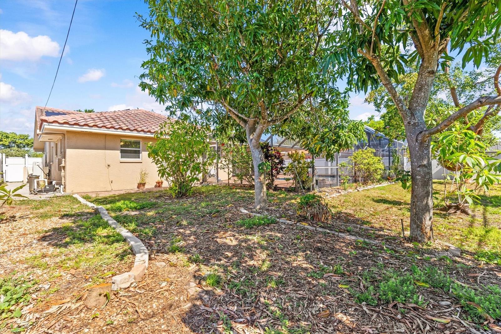 3149 CARLOS DR, DUNEDIN, FL, 34698