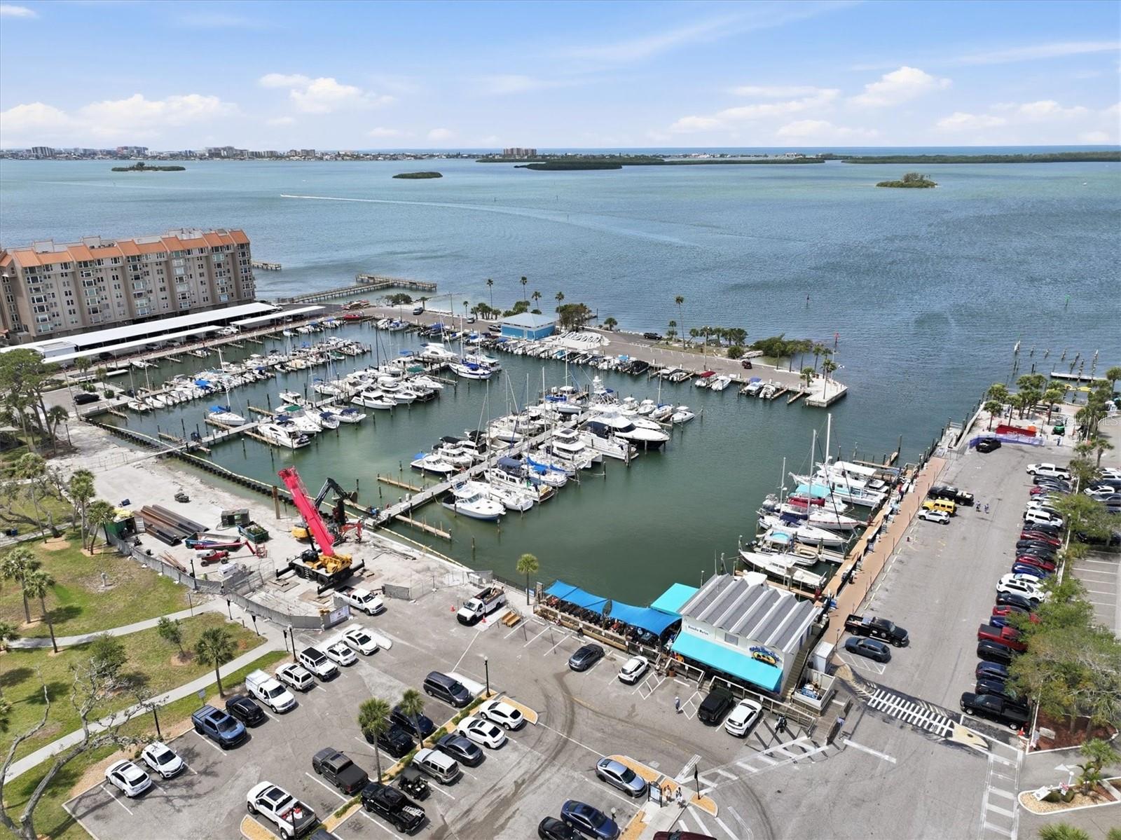3149 CARLOS DR, DUNEDIN, FL, 34698