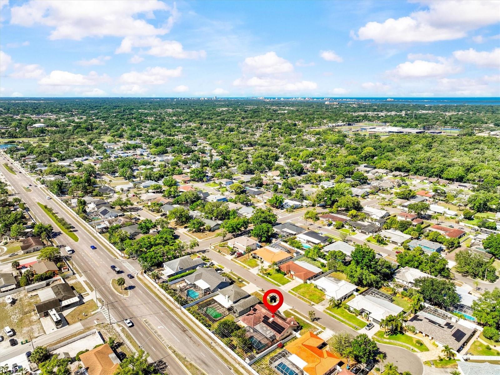 3149 CARLOS DR, DUNEDIN, FL, 34698