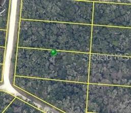 7490 SHASTA ST, WEBSTER, FL, 33597