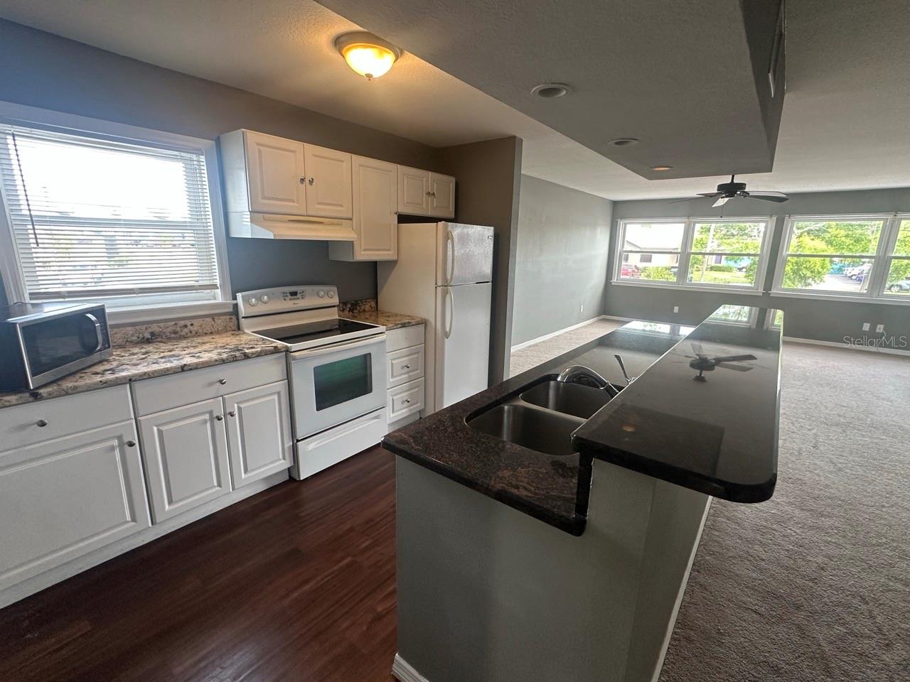 1221 COURT ST, CLEARWATER, FL, 33756