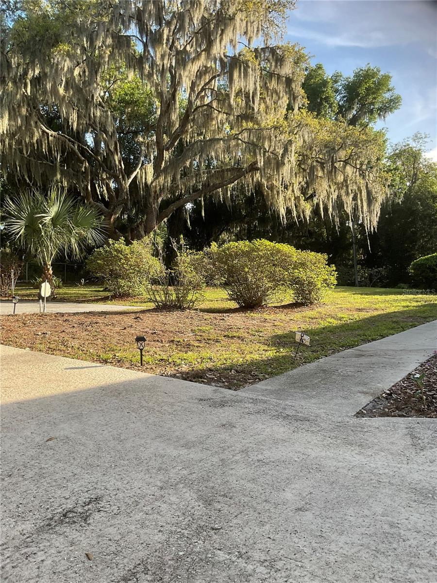 17005 ARROWHEAD BLVD, WINTER GARDEN, FL, 34787