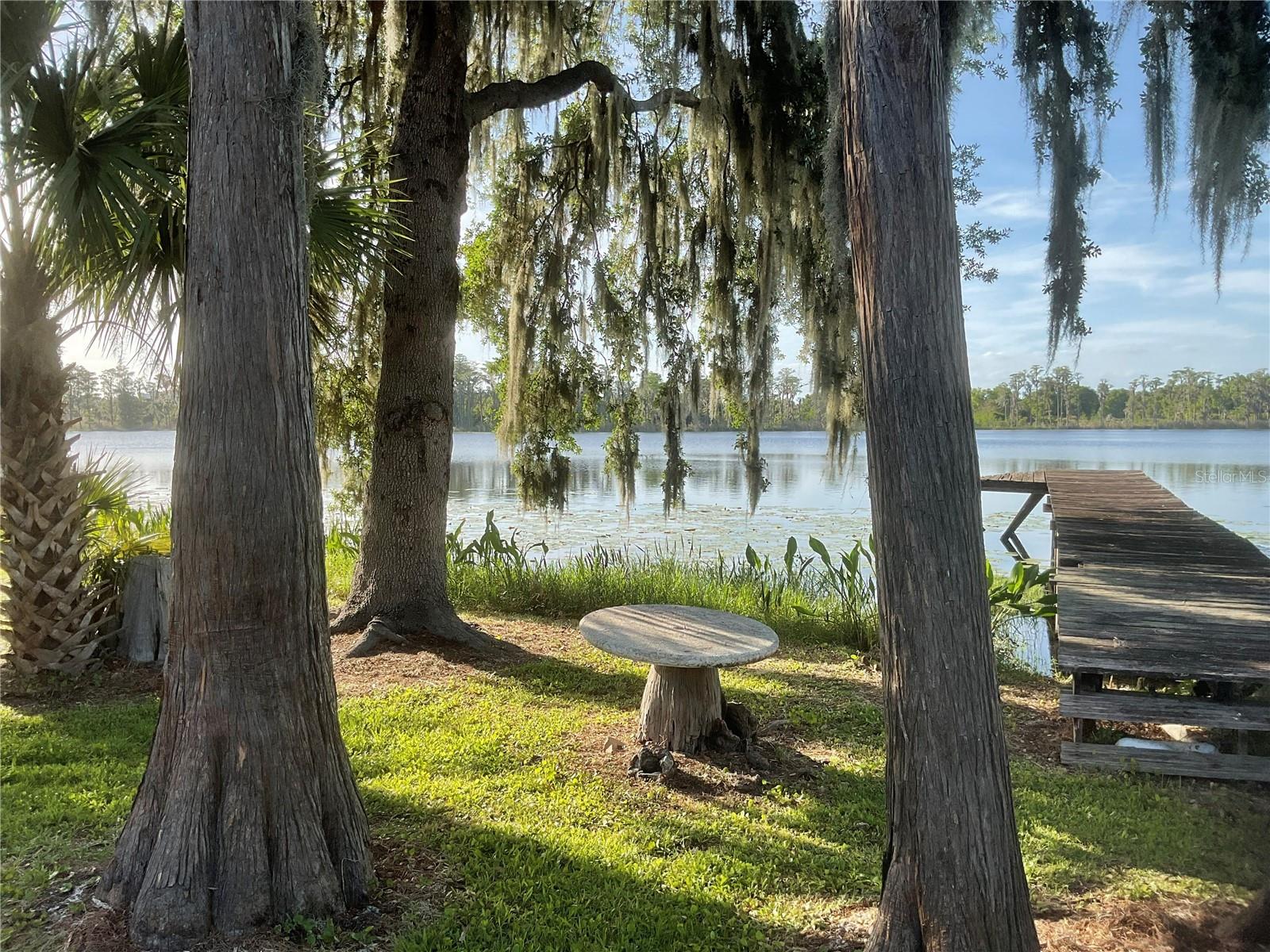 17005 ARROWHEAD BLVD, WINTER GARDEN, FL, 34787