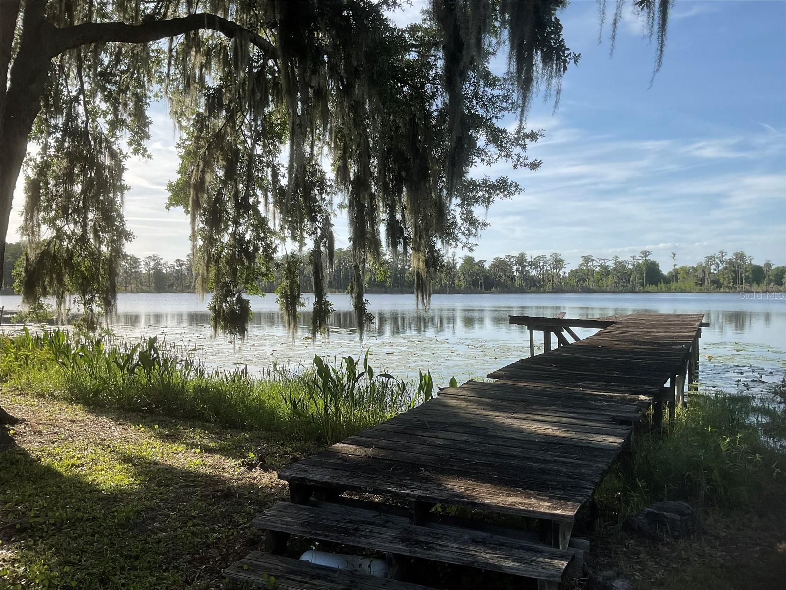 17005 ARROWHEAD BLVD, WINTER GARDEN, FL, 34787