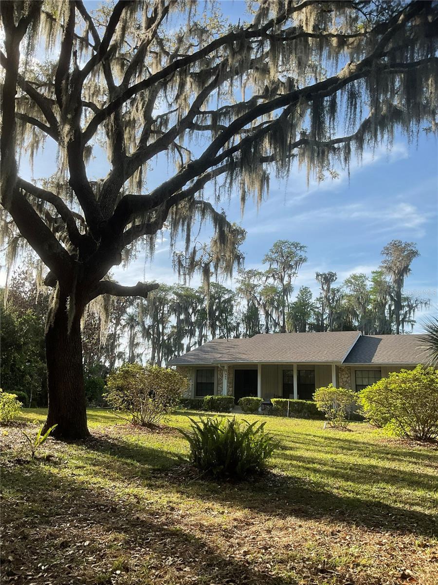 17005 ARROWHEAD BLVD, WINTER GARDEN, FL, 34787