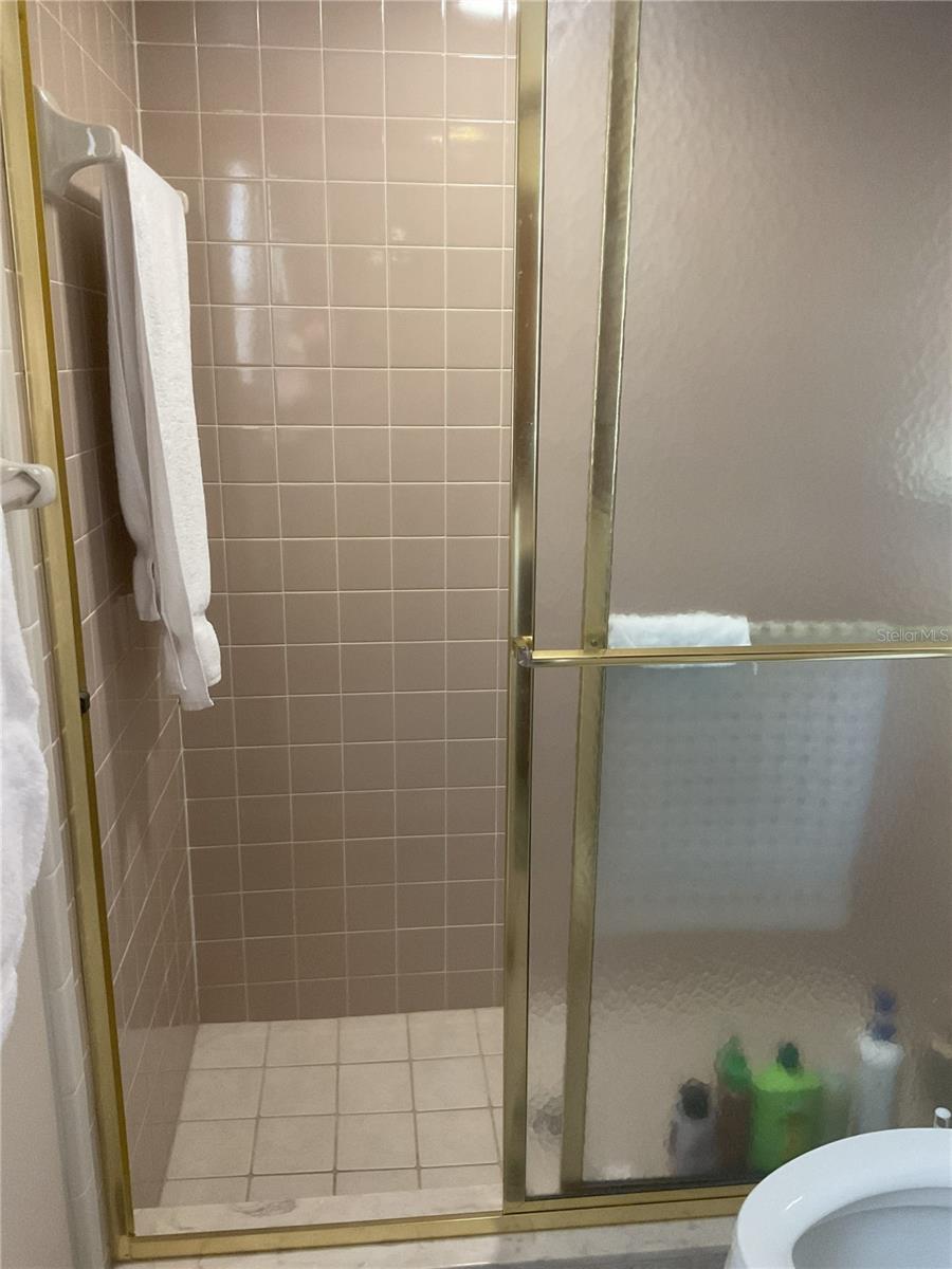 17005 ARROWHEAD BLVD, WINTER GARDEN, FL, 34787