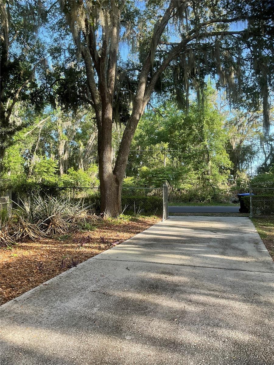 17005 ARROWHEAD BLVD, WINTER GARDEN, FL, 34787