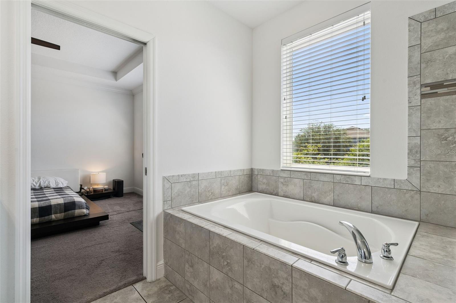 7212 DESERT MANDARIN ST, WINTER GARDEN, FL, 34787