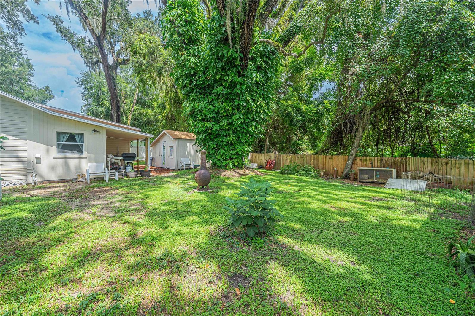 12369 SE 130TH CT, OCKLAWAHA, FL, 32179