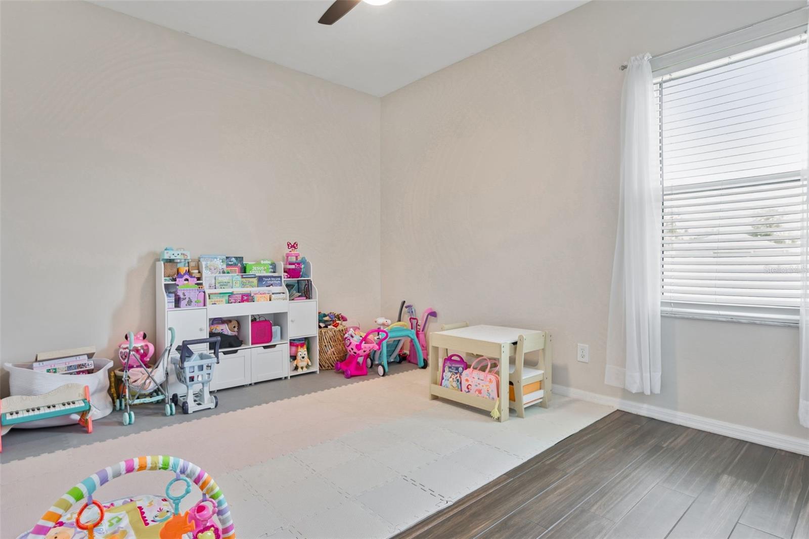 24833 PANACEA CT, LUTZ, FL, 33559