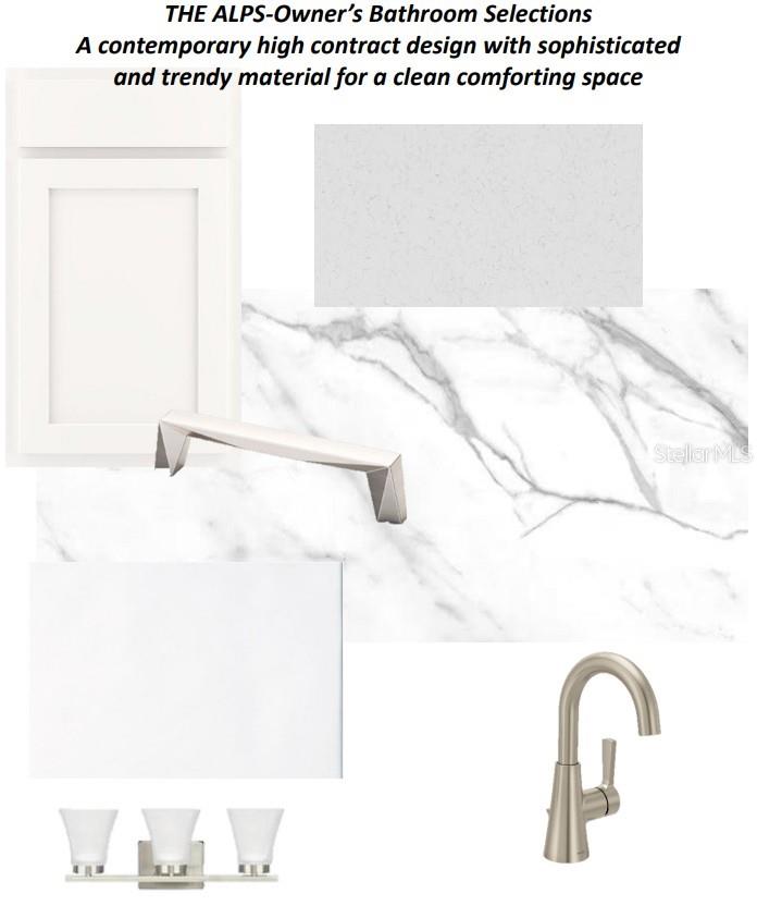 3535 CASPIAN CHERVIL ST, WESLEY CHAPEL, FL, 33543