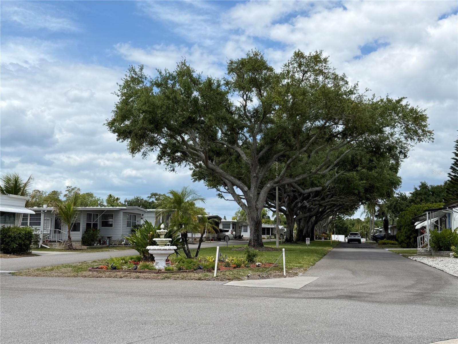 2331 BELLEAIR RD #529, CLEARWATER, FL, 33764