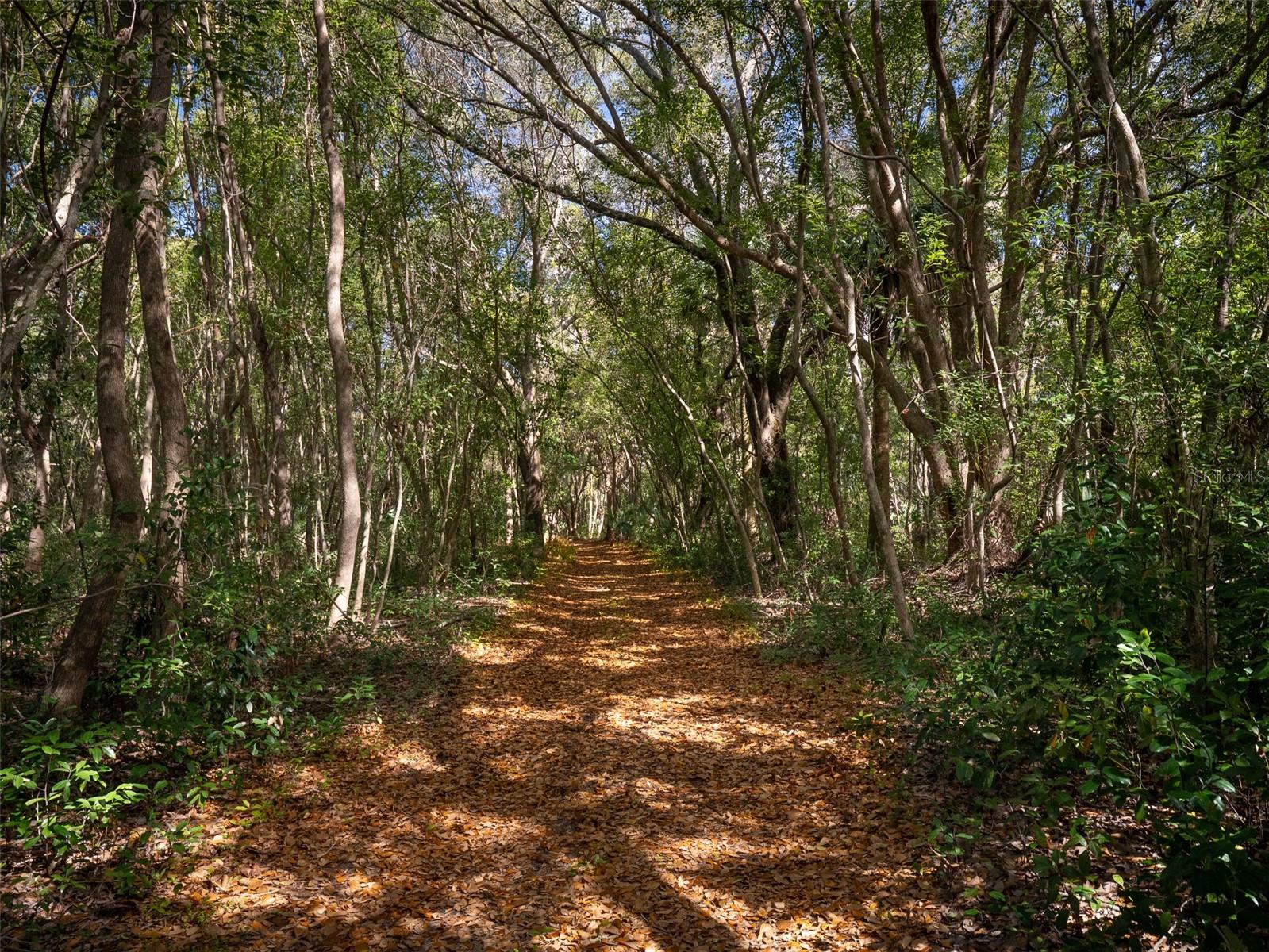 12495 SE SUNSET HARBOR RD, WEIRSDALE, FL, 32195
