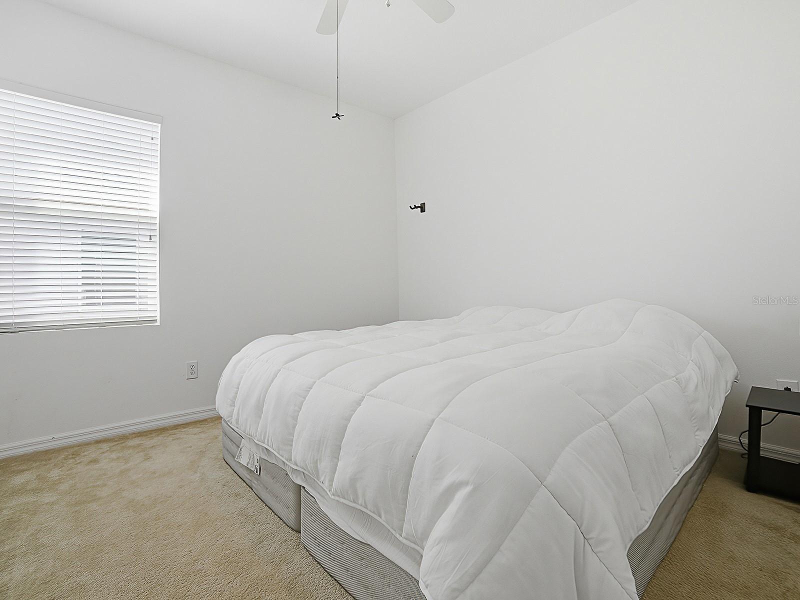 509 BLUE CYPRESS DRIVE, GROVELAND, FL, 34736