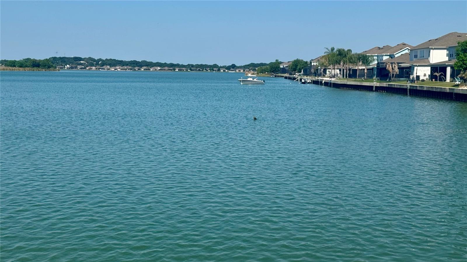 509 BLUE CYPRESS DRIVE, GROVELAND, FL, 34736