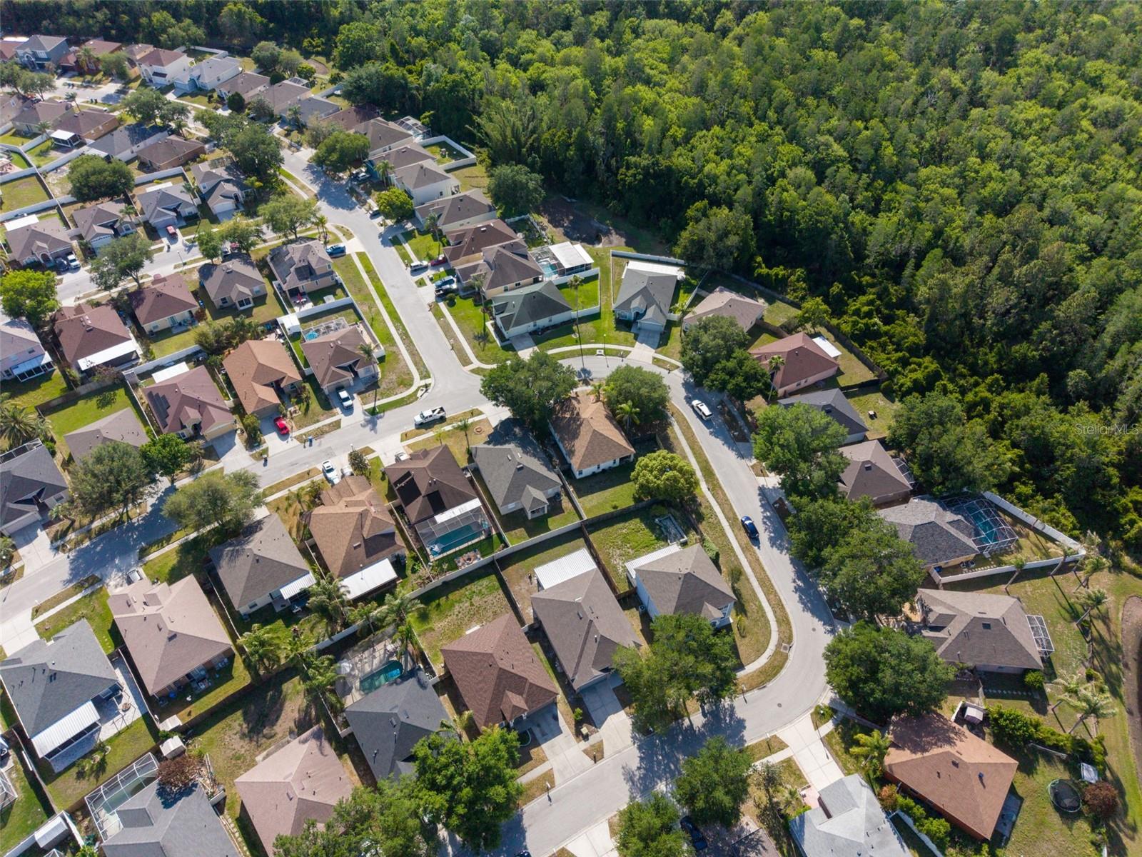 10323 GOLDENBROOK WAY, TAMPA, FL, 33647