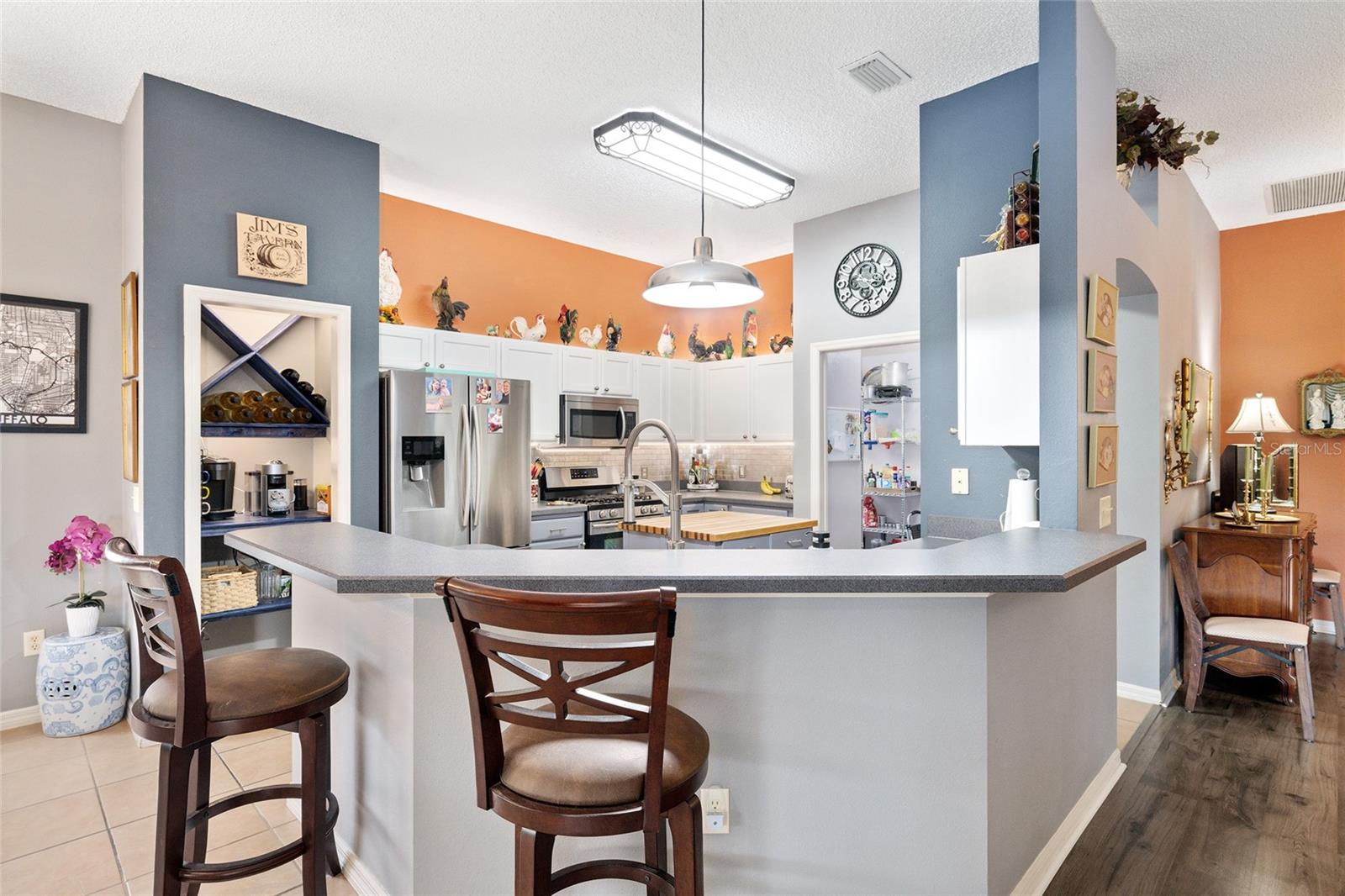 1311 OPORTO DR, THE VILLAGES, FL, 32162