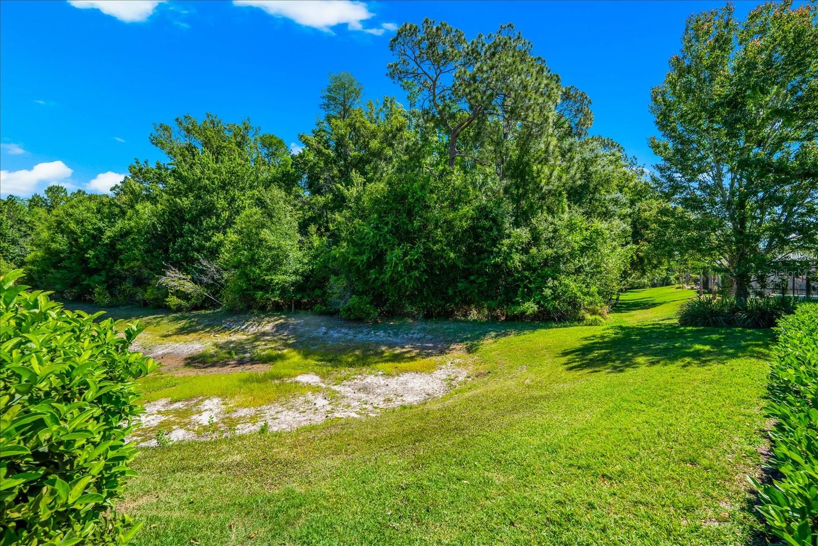 8904 CRYSTAL CREEK CT, LAND O LAKES, FL, 34638