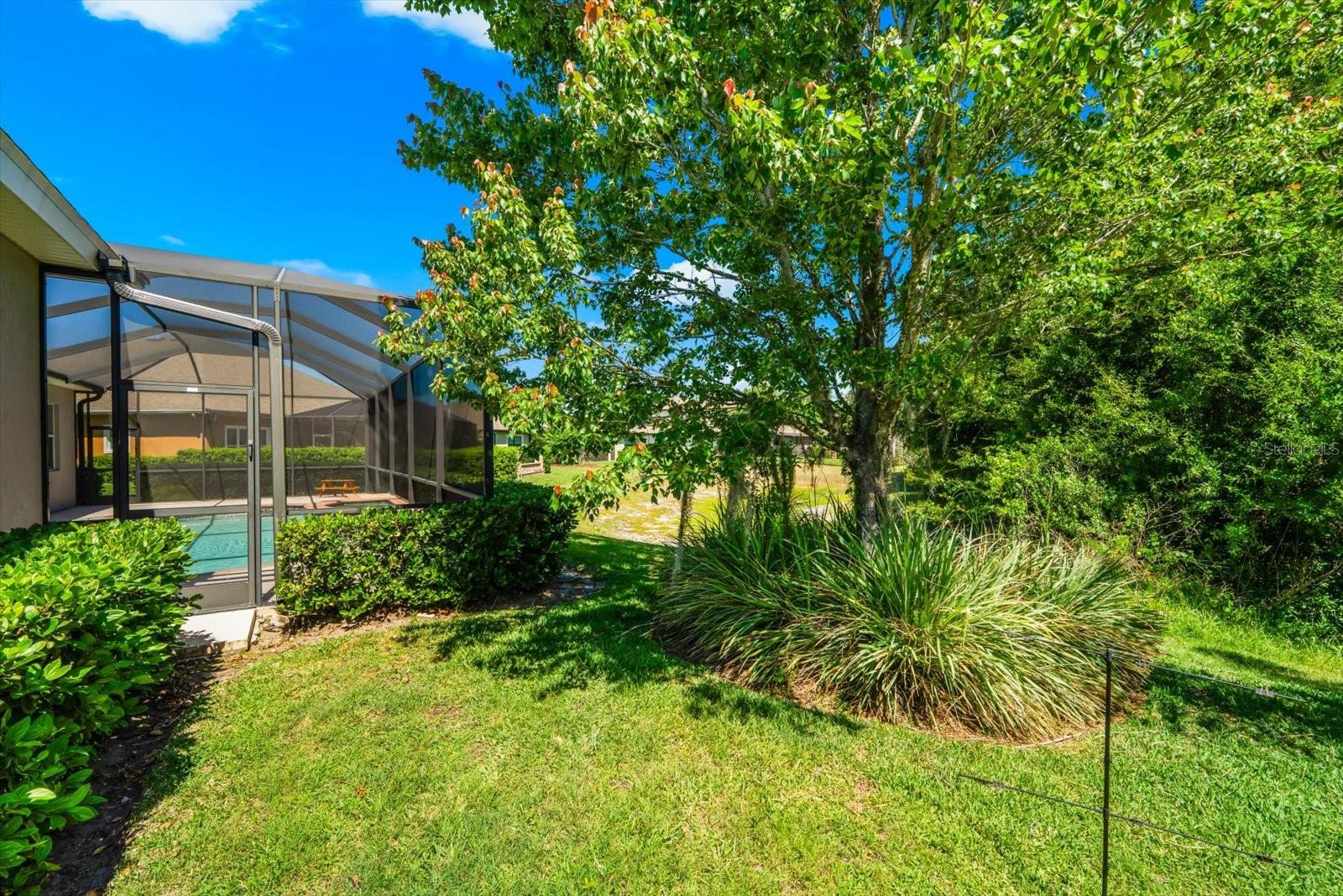 8904 CRYSTAL CREEK CT, LAND O LAKES, FL, 34638