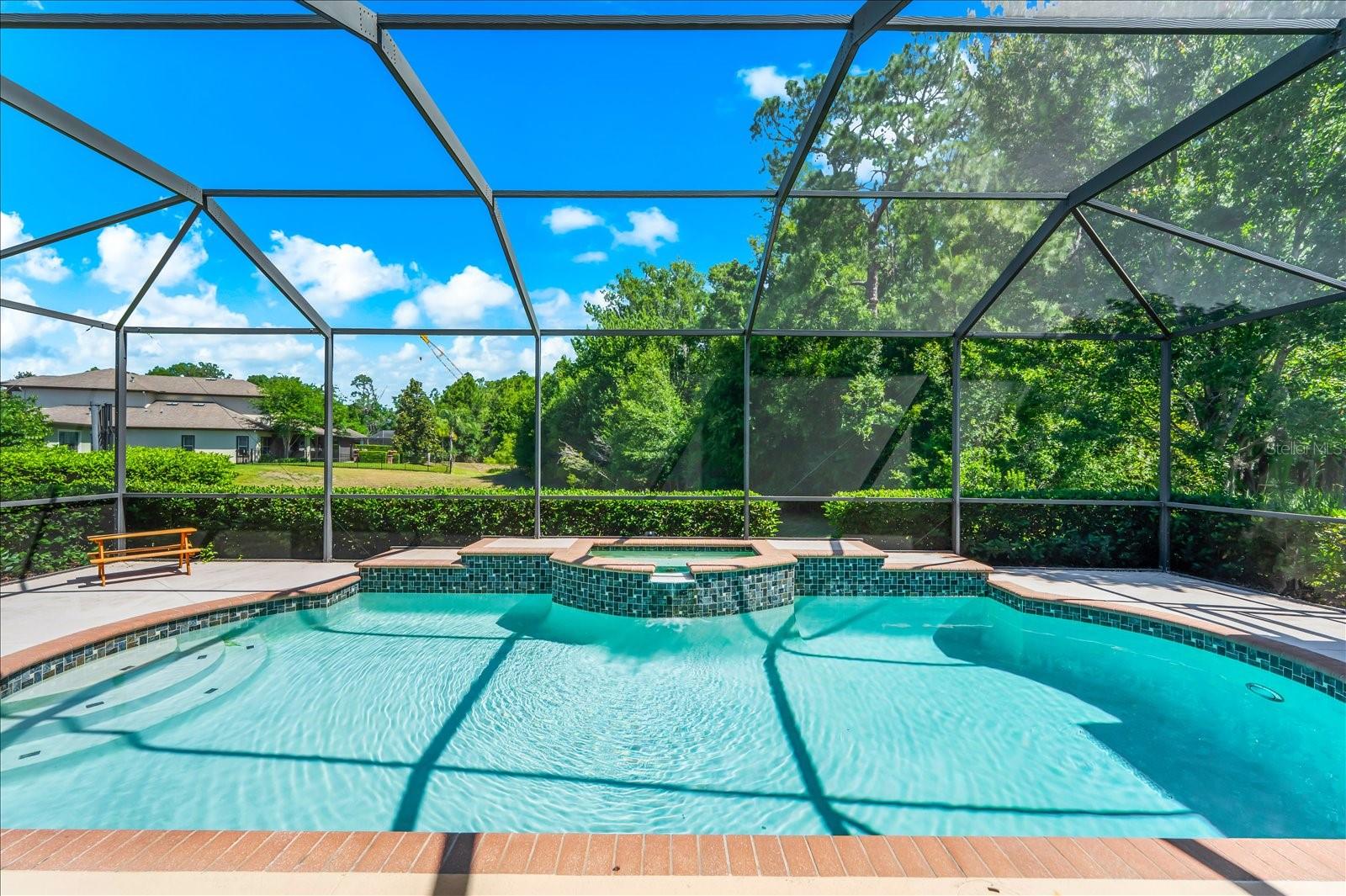 8904 CRYSTAL CREEK CT, LAND O LAKES, FL, 34638