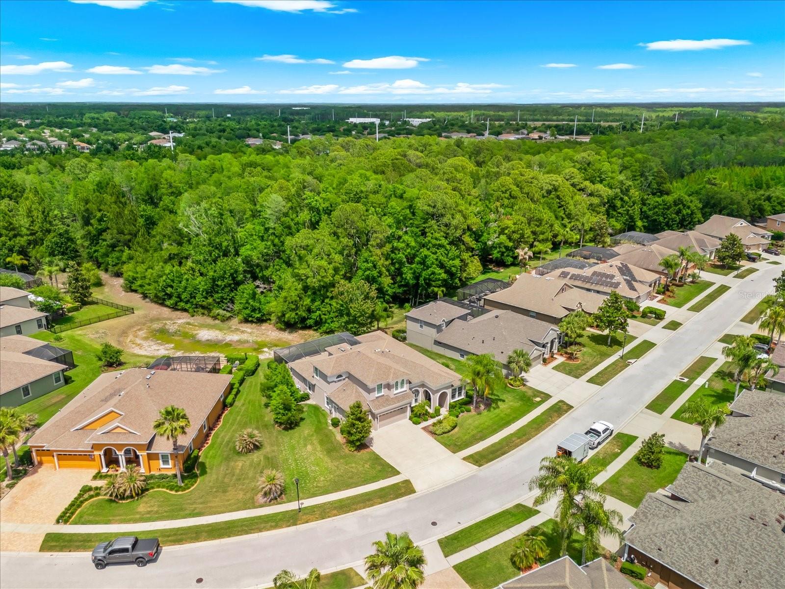 8904 CRYSTAL CREEK CT, LAND O LAKES, FL, 34638
