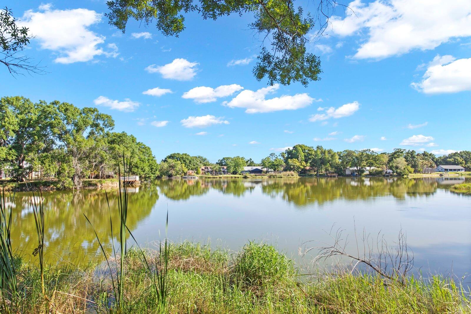 9608 SPRINGBROOK DR, RIVERVIEW, FL, 33578