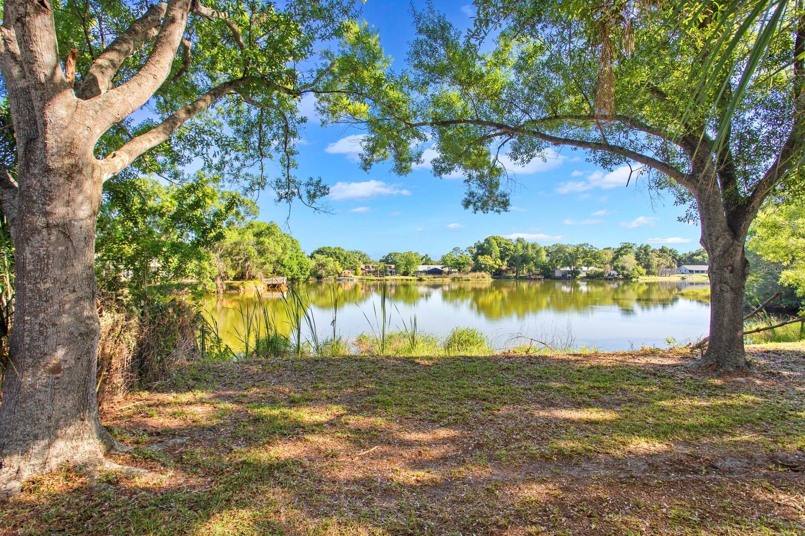 9608 SPRINGBROOK DR, RIVERVIEW, FL, 33578