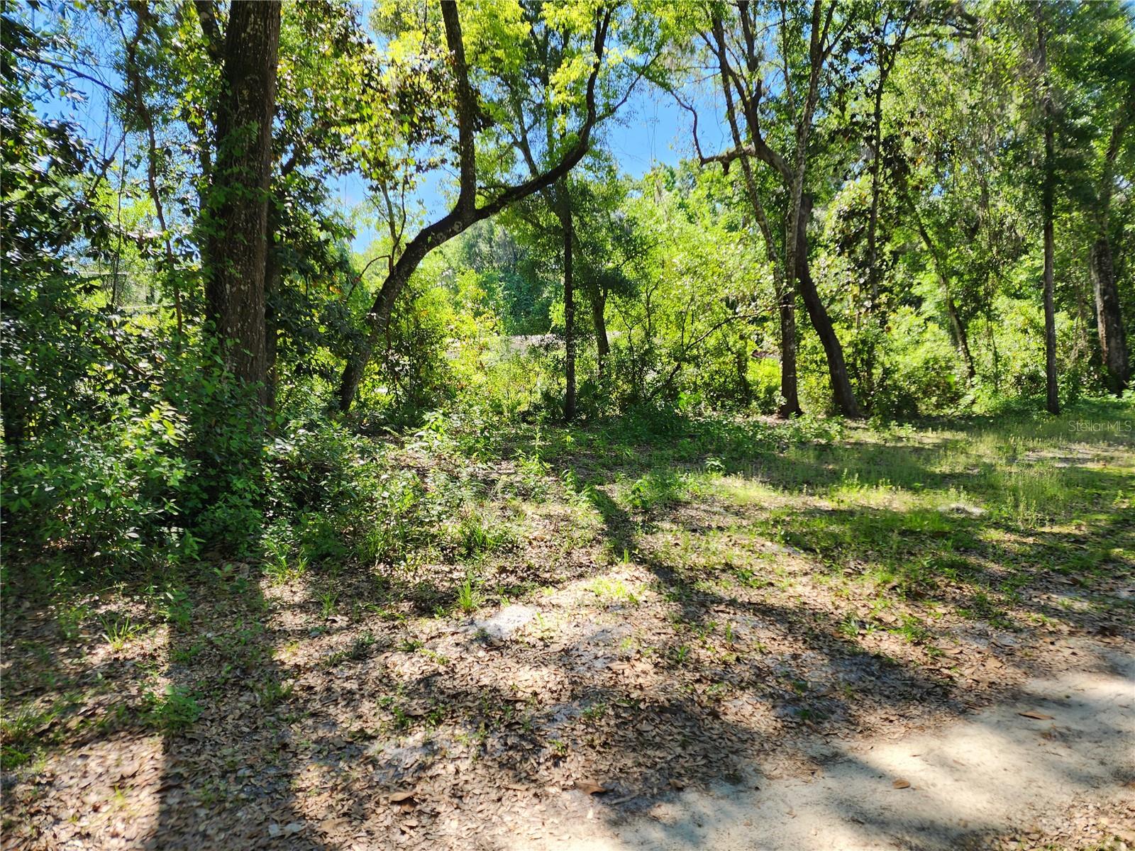 4150 S SPANIEL TRL, INVERNESS, FL, 34450