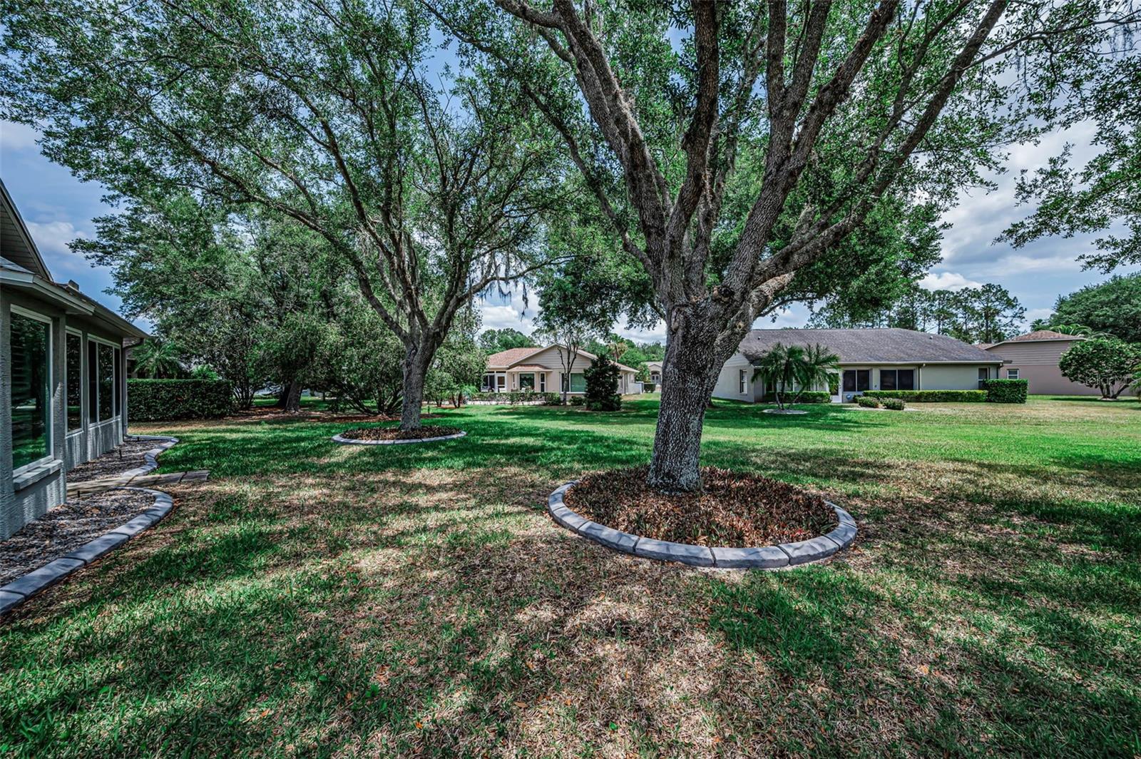 1300 FALLOWFIELD DR, TRINITY, FL, 34655