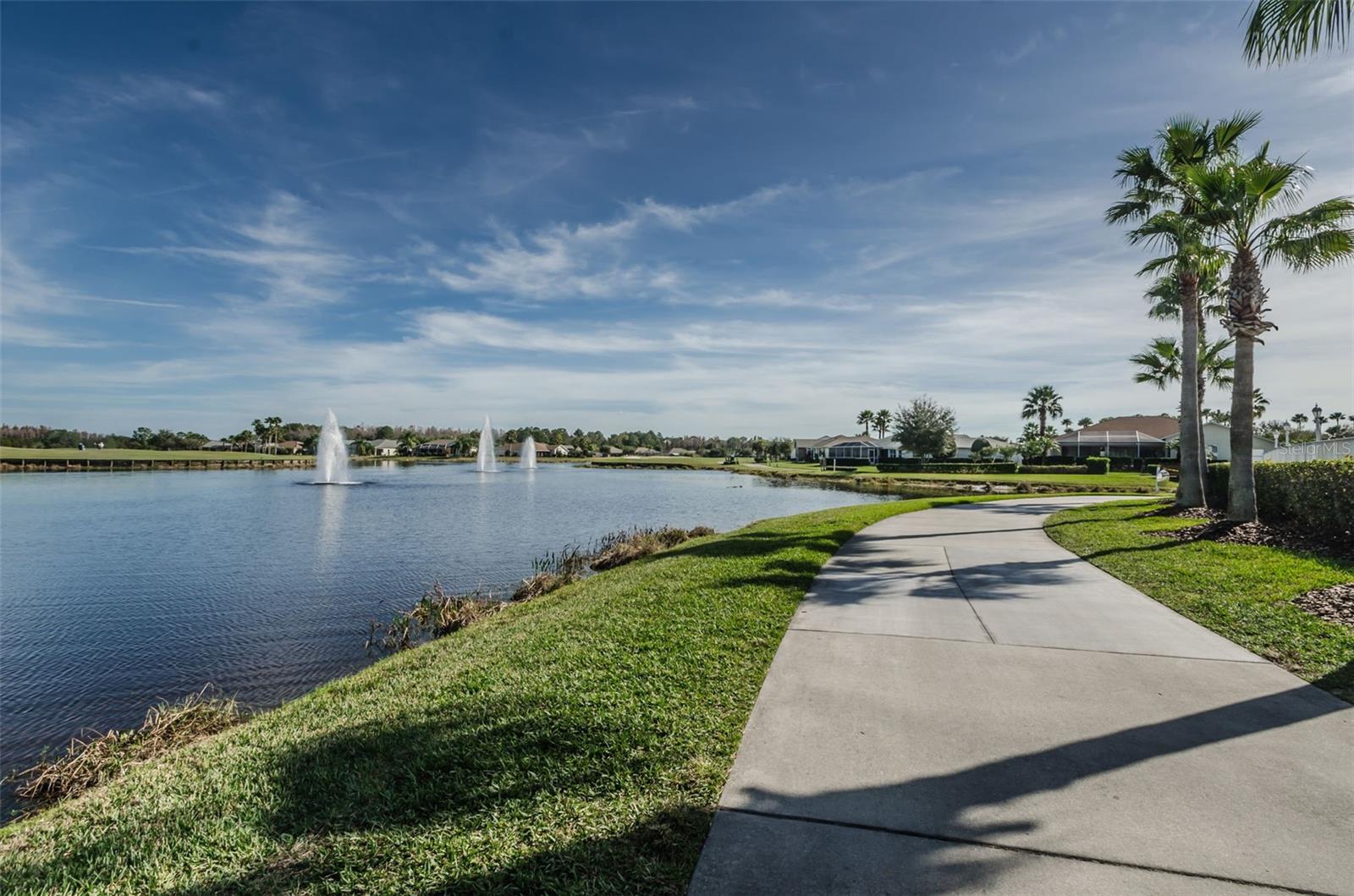 1300 FALLOWFIELD DR, TRINITY, FL, 34655