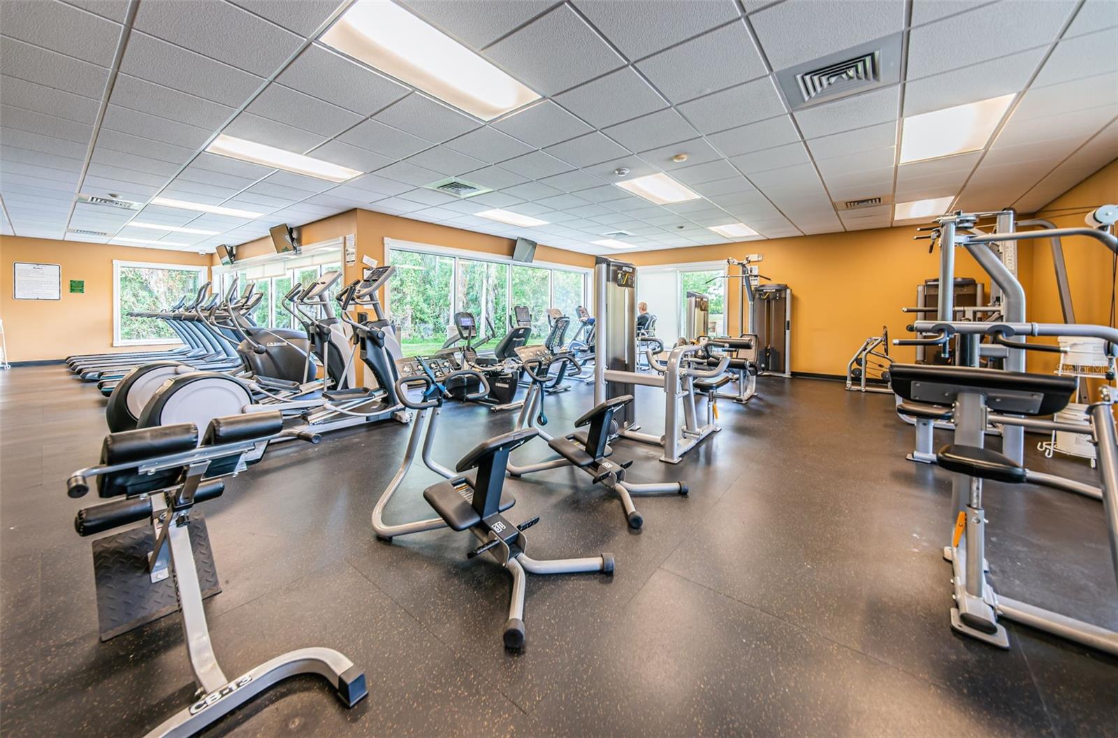1300 FALLOWFIELD DR, TRINITY, FL, 34655