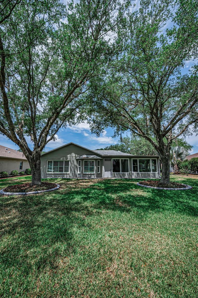 1300 FALLOWFIELD DR, TRINITY, FL, 34655