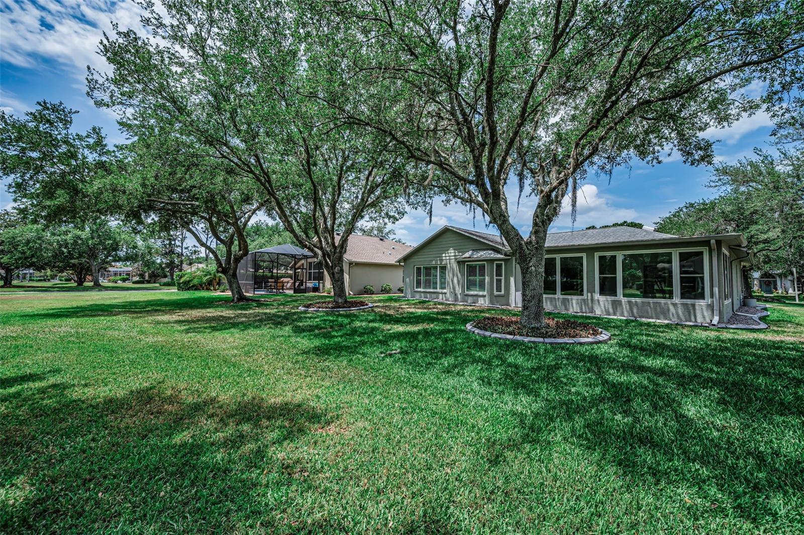 1300 FALLOWFIELD DR, TRINITY, FL, 34655