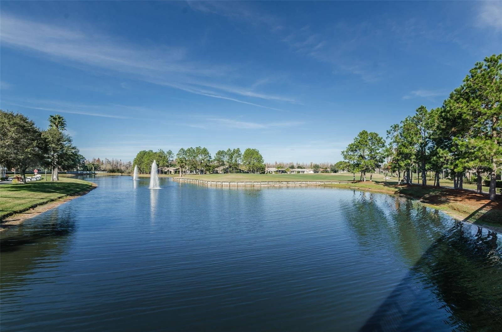 1300 FALLOWFIELD DR, TRINITY, FL, 34655