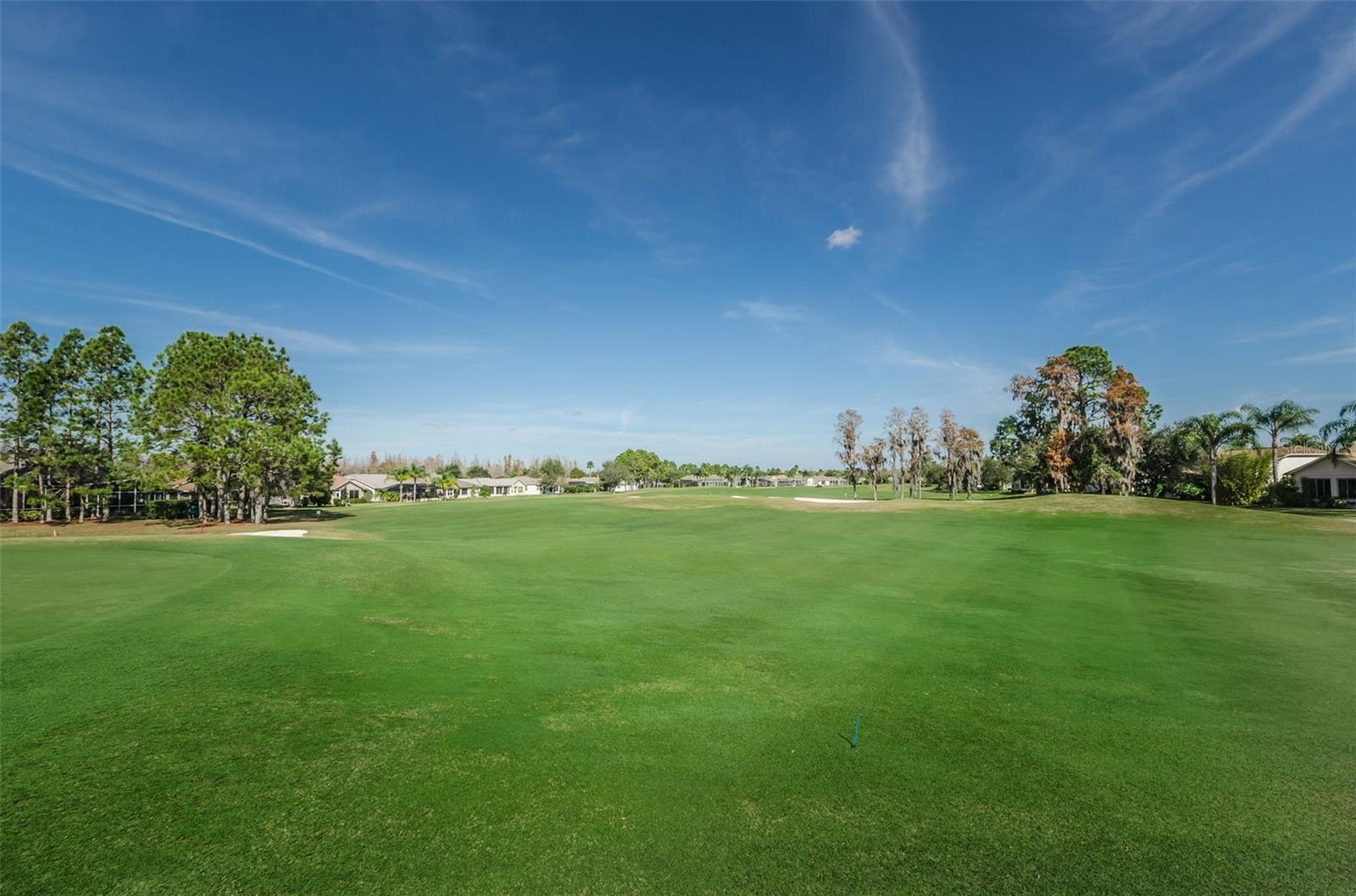 1300 FALLOWFIELD DR, TRINITY, FL, 34655