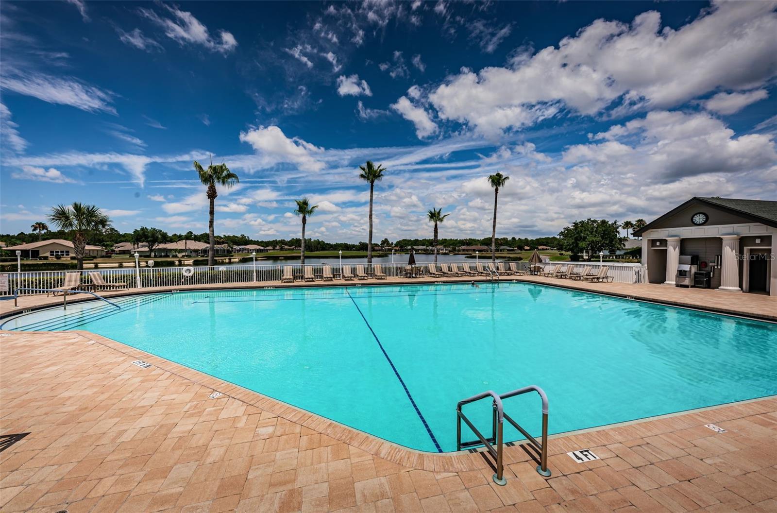 1300 FALLOWFIELD DR, TRINITY, FL, 34655