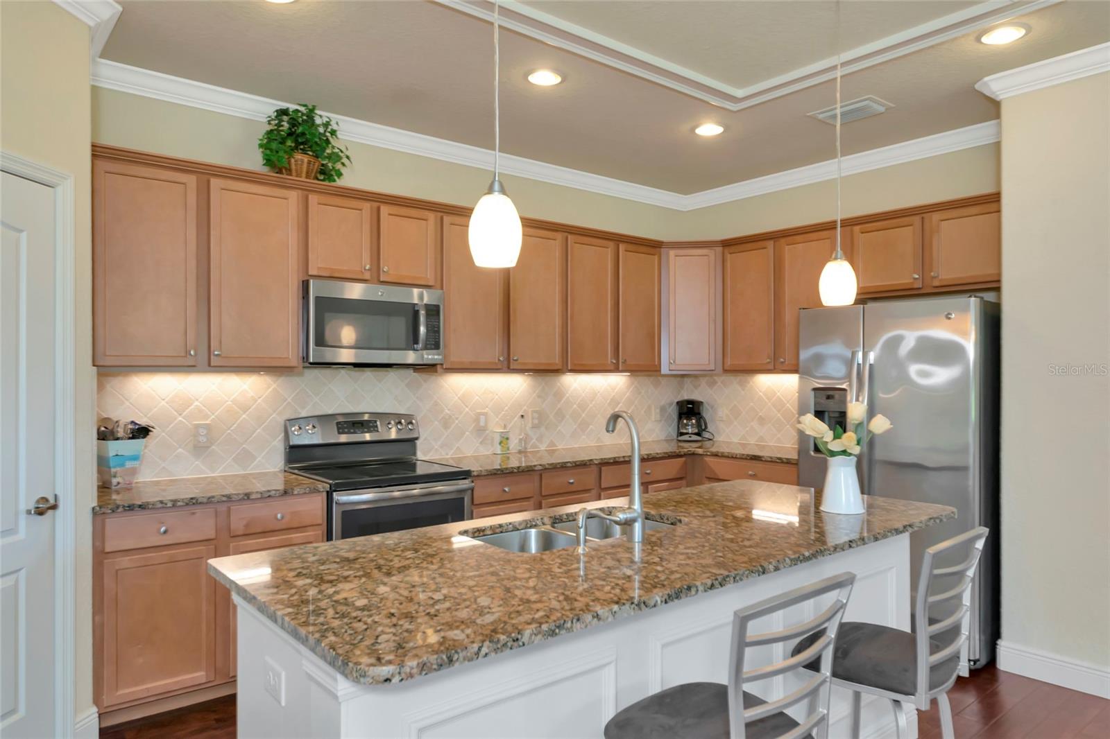 157 WANDERING WETLANDS CIR, BRADENTON, FL, 34212