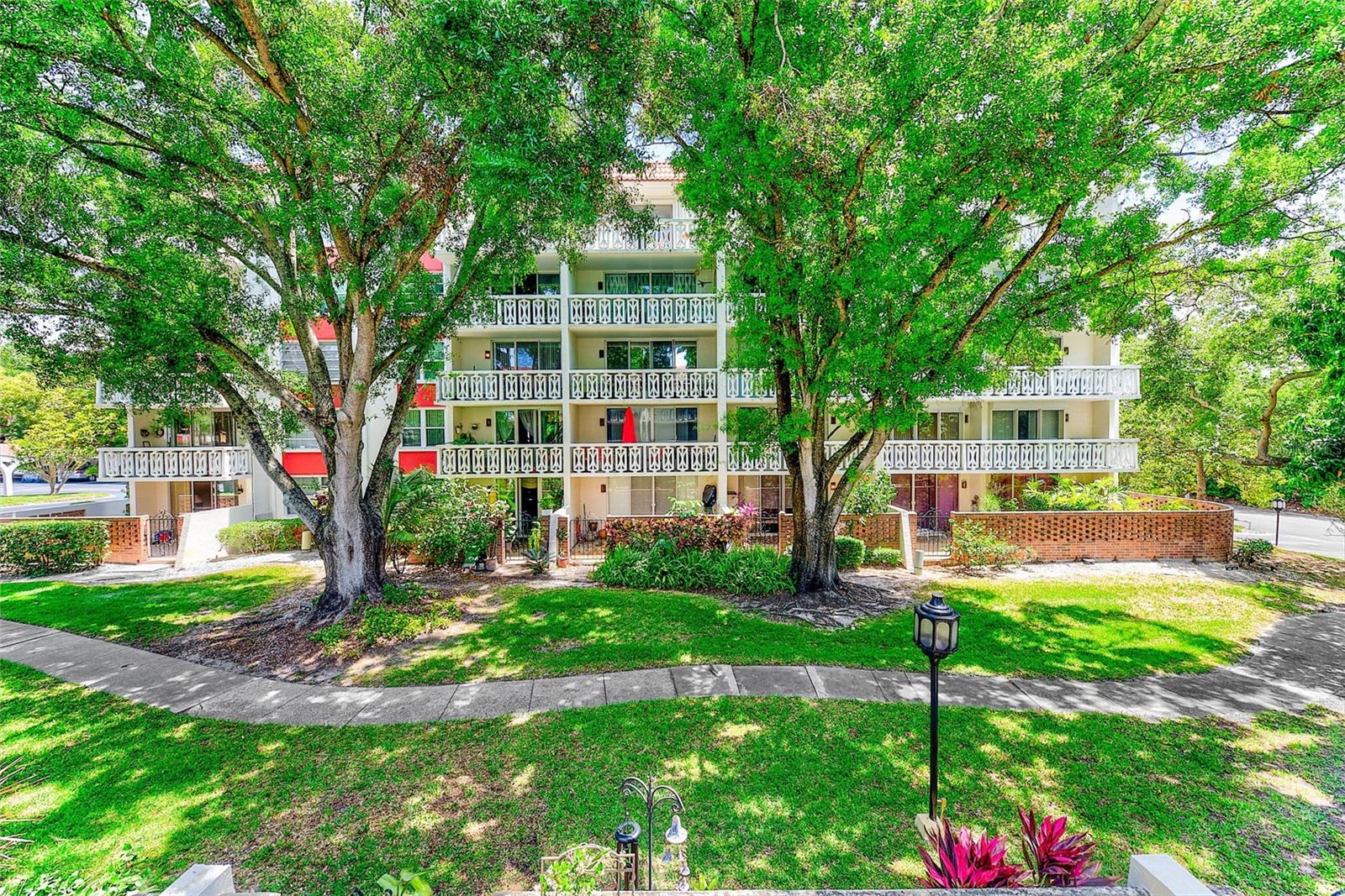 2612 PEARCE DR #209, CLEARWATER, FL, 33764