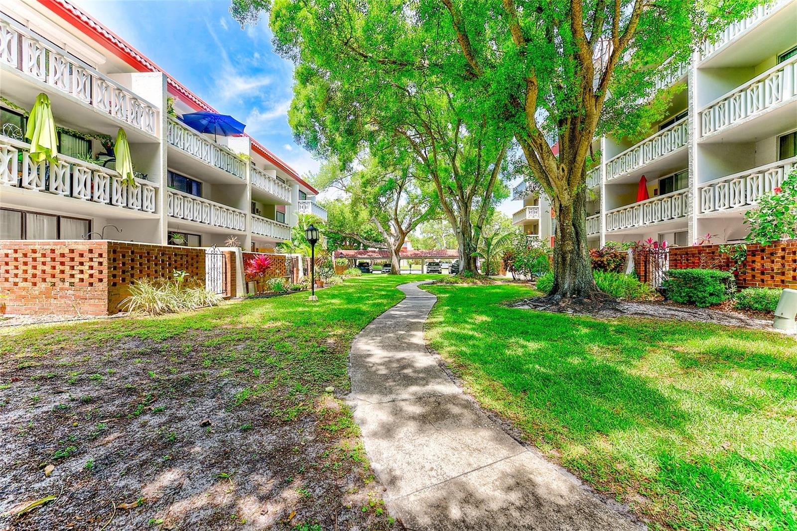 2612 PEARCE DR #209, CLEARWATER, FL, 33764