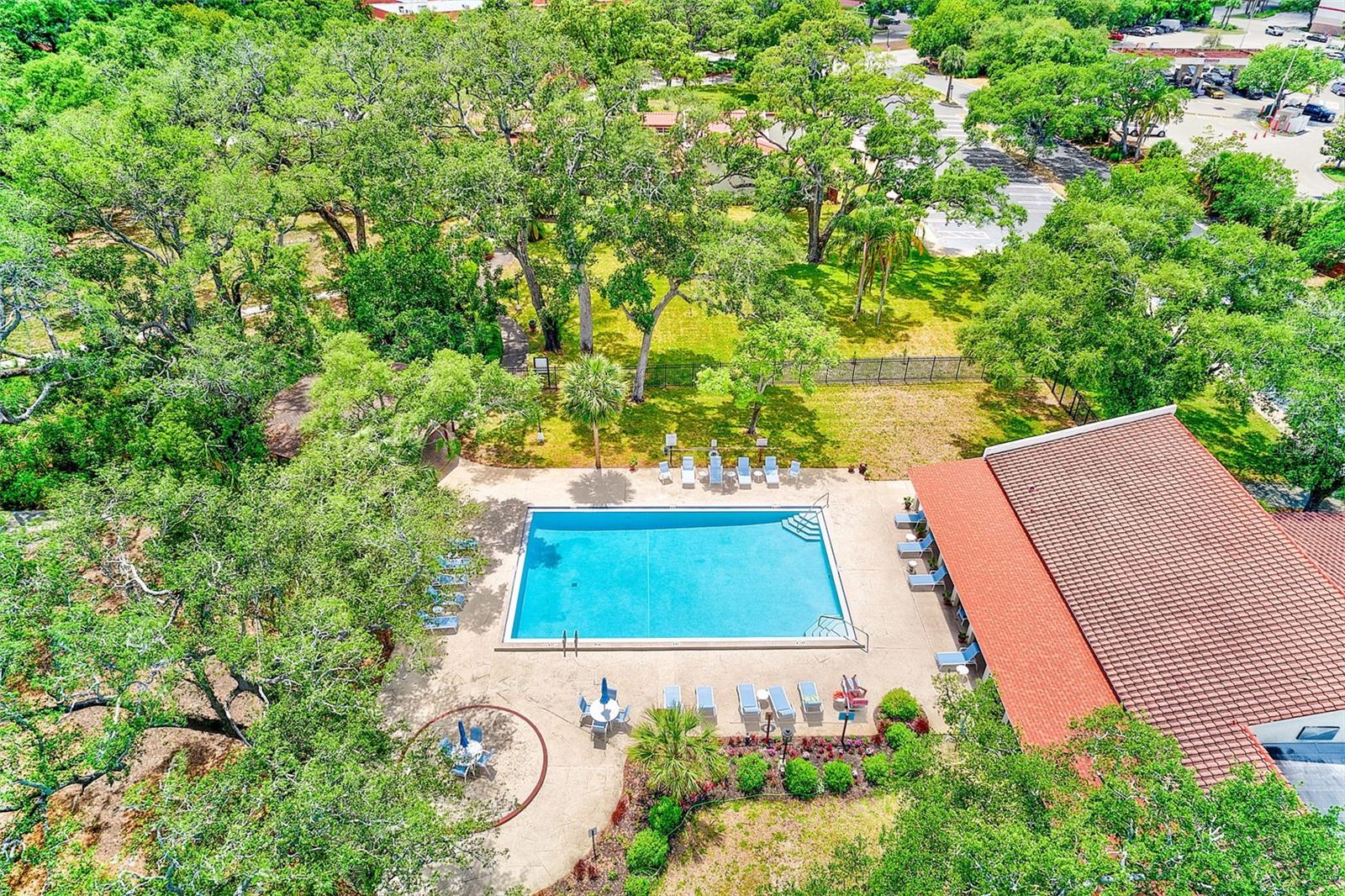 2612 PEARCE DR #209, CLEARWATER, FL, 33764