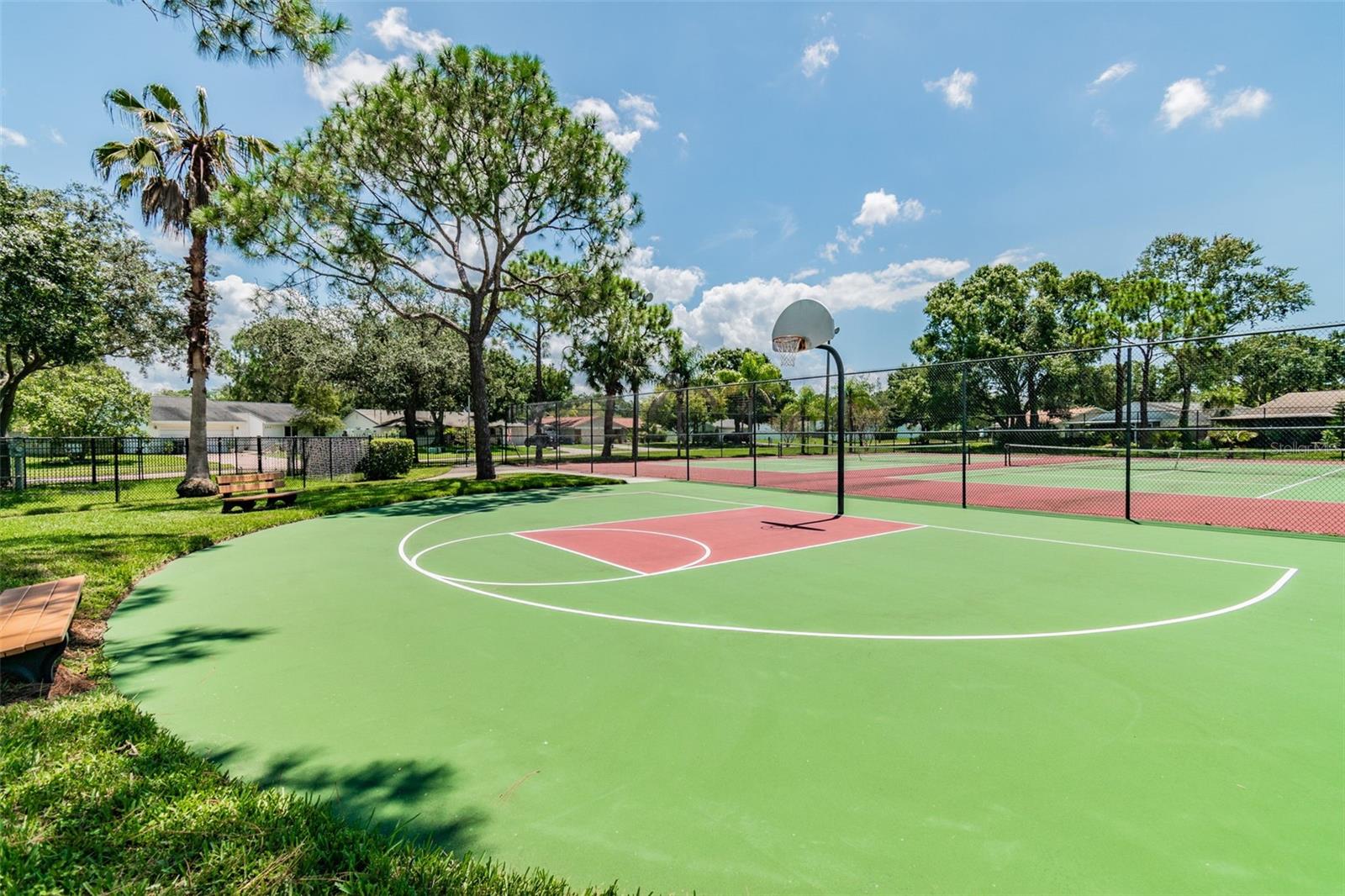 140 HUNTER LAKE DR #8C, OLDSMAR, FL, 34677